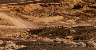 日职联半场：莱奥建功，知念庆破门被吹，鹿岛1-0横滨水手